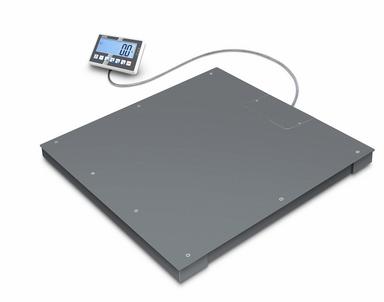 floor scale front view