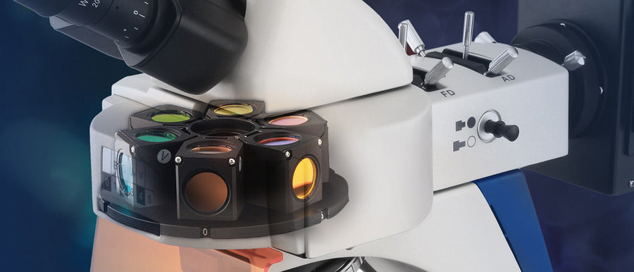 Microscope with fluorescence filter wheel and objective turret