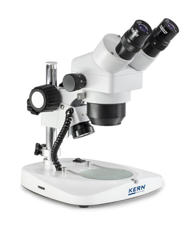 stereo zoom microscope angled view