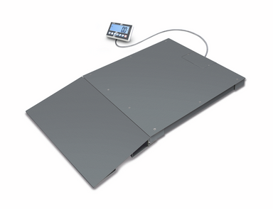 Floor scale with ramp 