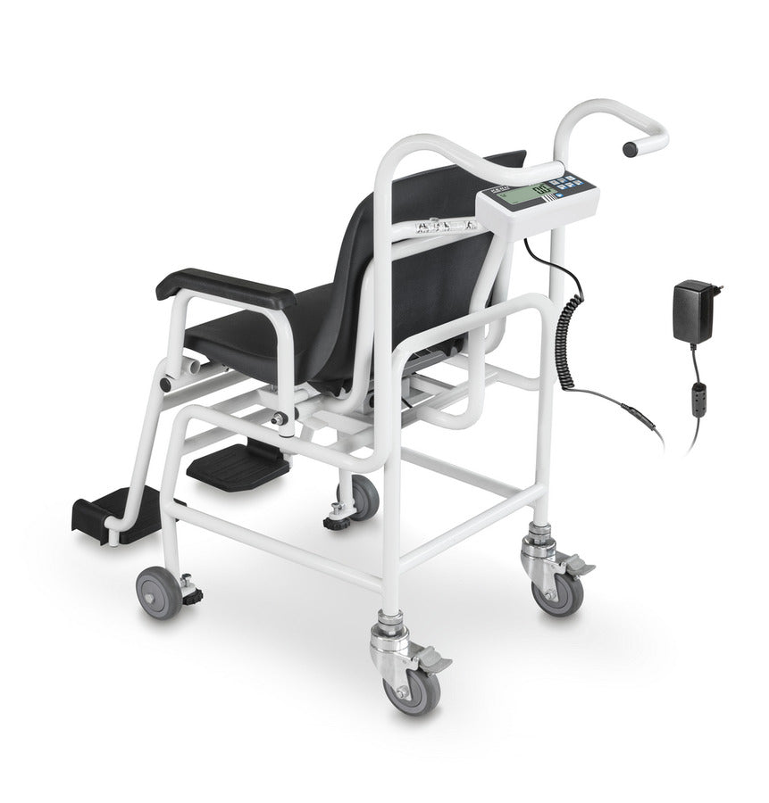 chair scale back view