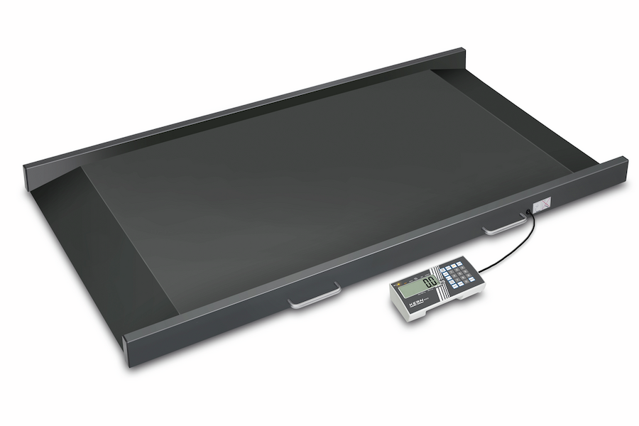 Wheelchair scale view