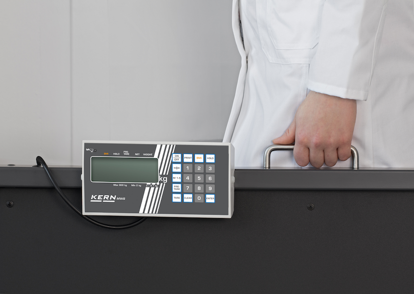 Wheelchair scale on hand