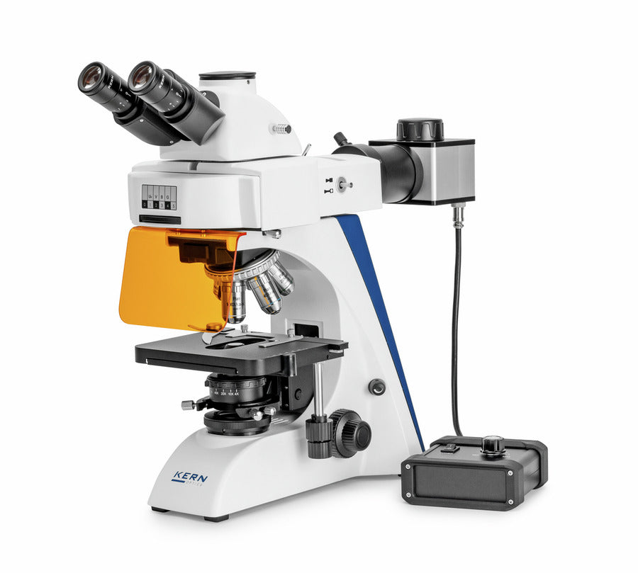 Fluorescence microscope with binocular eyepieces, orange filter, and external light source