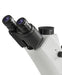 Binocular eyepieces of inverted microscope with diopter adjustment