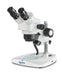 Stereo zoom microscope with eyepieces