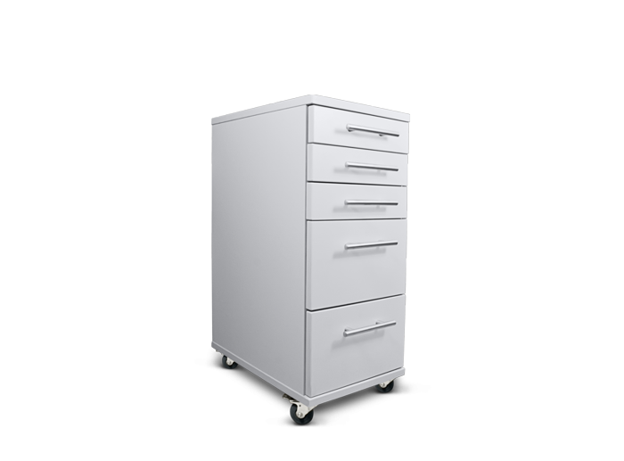 Biosan T-4L + LF-1 Laboratory Desk With Drawers
