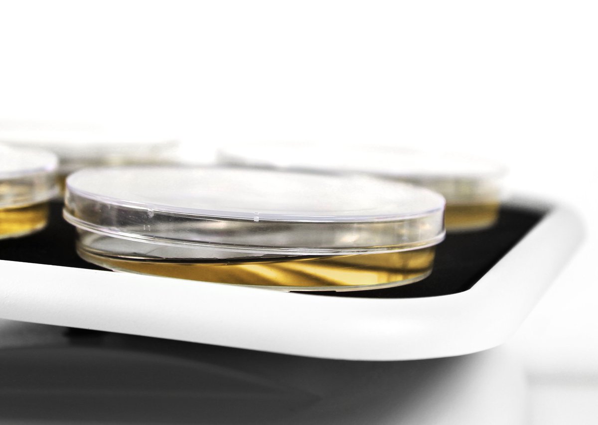 Biosan MR-1 Mini Rocker Shaker